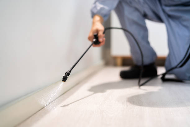 Licensed Cockroach Control service in Vermillion, SD - Nex Pest Control
