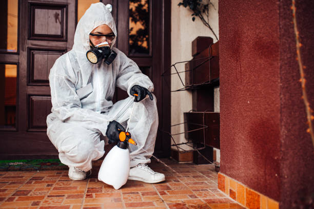 Reliable Cockroach Control contractor in Vermillion, SD by Nex Pest Control